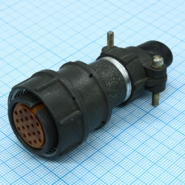 Разъемы 2РМ24КПН19Г1В1